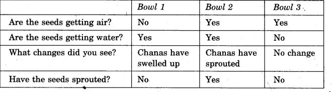 NCERT Solutions for Class 5 EVS Chapter 5 Seeds And Seeds Do This and Findout Q1