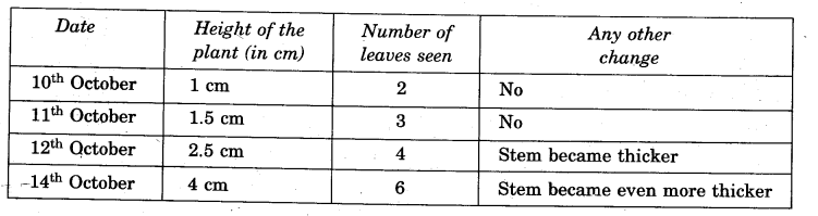 NCERT Solutions for Class 5 EVS Chapter 5 Seeds And Seeds Write Q1.1
