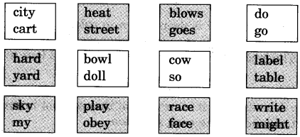 NCERT Solutions for Class 5 English Unit 1 Chapter 1 Ice-Cream Man 2