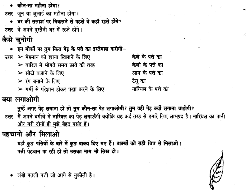 NCERT Solutions for Class 3 Hindi Chapter-14 सबसे अच्छा पेड़ 2