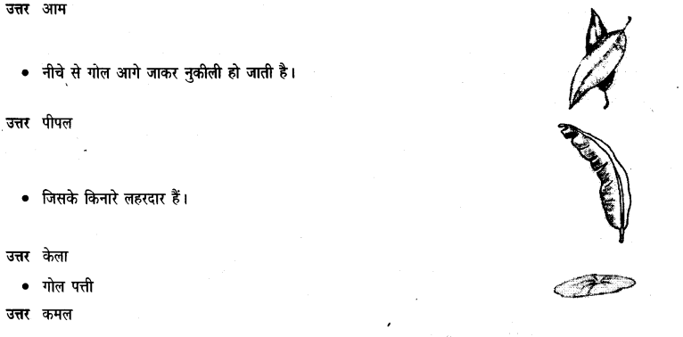 NCERT Solutions for Class 3 Hindi Chapter-14 सबसे अच्छा पेड़ 3
