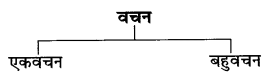 CBSE Class 6 Hindi Grammar वचन