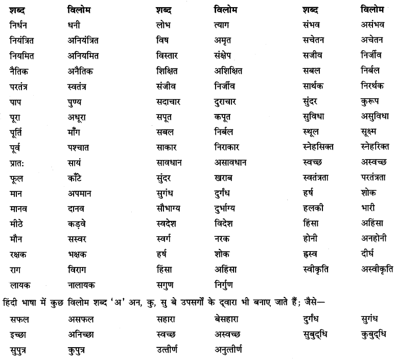 CBSE Class 6 Hindi Grammar शब्द-भंडार 2