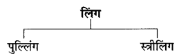 CBSE Class 6 Hindi Grammar संज्ञा के विकार