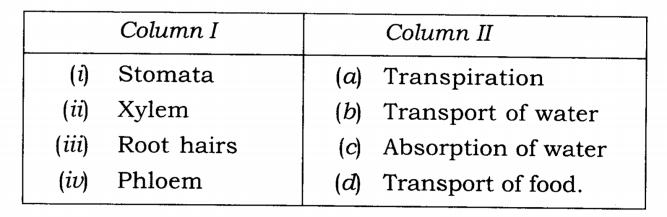 NCERT Solutions Class 7 Science Chapter 11 Transportation in Animals and Plants Q1.1