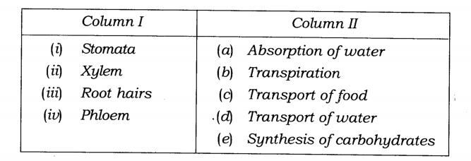 NCERT Solutions Class 7 Science Chapter 11 Transportation in Animals and Plants Q1