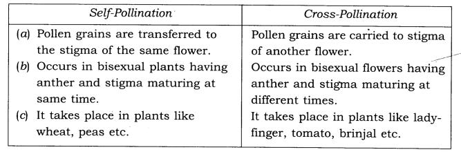 NCERT Solutions Class 7 Science Chapter 12 Reproduction in Plants Q6