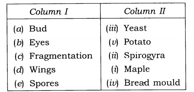NCERT Solutions Class 7 Science Chapter 12 Reproduction in Plants Q9.1