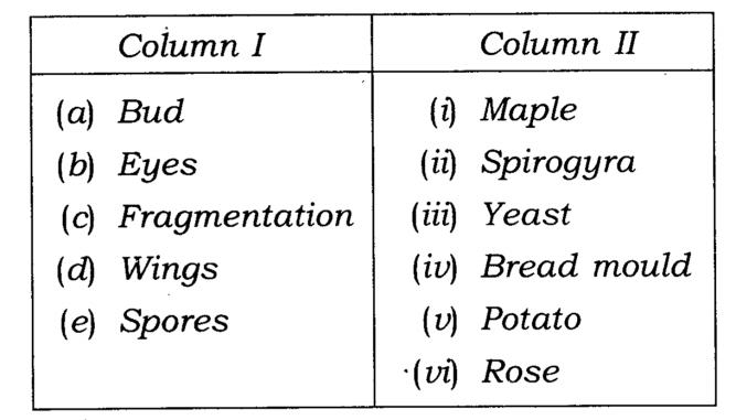 NCERT Solutions Class 7 Science Chapter 12 Reproduction in Plants Q9