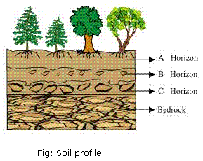 NCERT Solutions Class 7 Science Chapter 9 Soil Q7