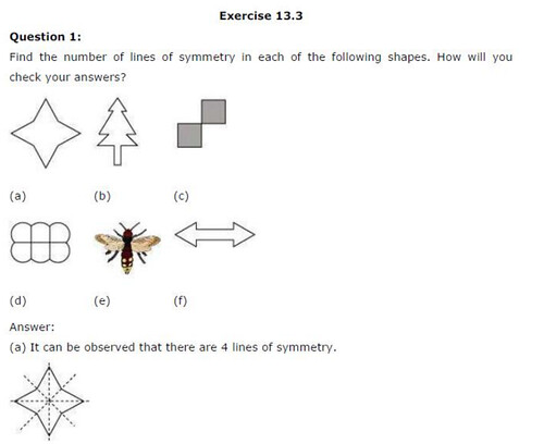 NCERT Solutions For Class 6 Maths Symmetry Exercise 13.3 Q1