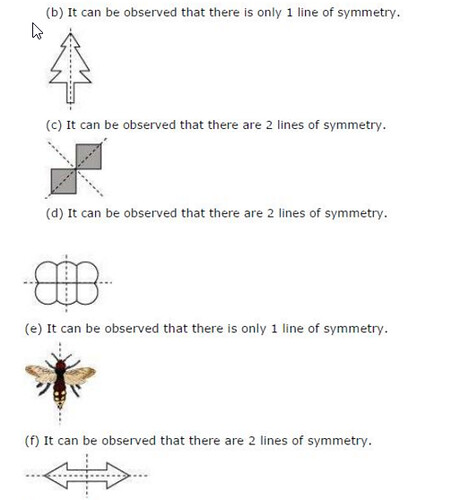 NCERT Solutions For Class 6 Maths Symmetry Exercise 13.3 Q2