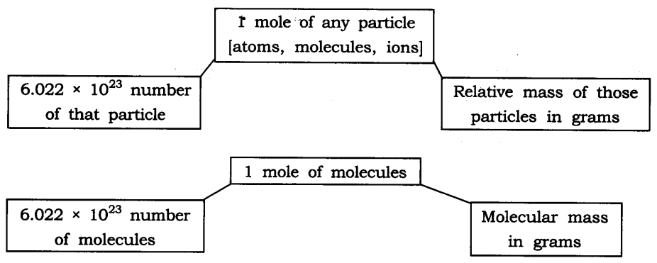 NCERT Solutions For Class 9 Science Chapter 3 Atoms and Molecules SAQ Q12.1