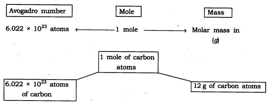 NCERT Solutions For Class 9 Science Chapter 3 Atoms and Molecules SAQ Q12