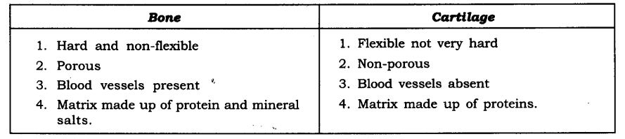NCERT Solutions For Class 9 Science Chapter 6 Tissues SAQ Q1