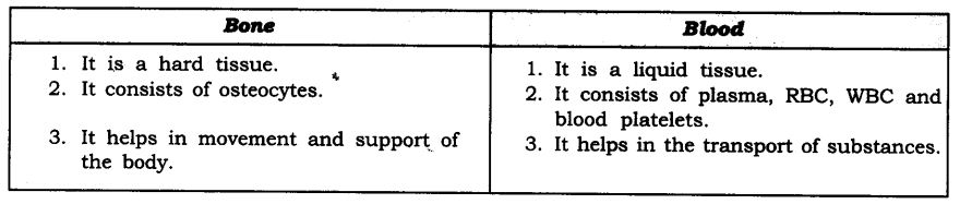 NCERT Solutions For Class 9 Science Chapter 6 Tissues SAQ Q15