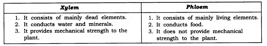 NCERT Solutions For Class 9 Science Chapter 6 Tissues SAQ Q6