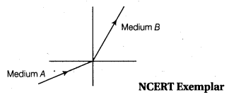 NCERT Solutions for Class 10 Science Chapter 10 Light Reflection and Refraction MCQs Q9