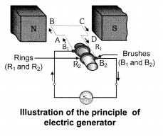 NCERT Solutions for Class 10 Science Chapter 13 Magnetic Effects of Electric Current Chapter End Questions Q16