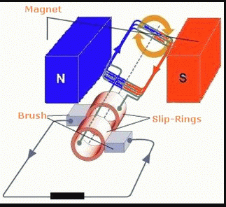 NCERT Solutions for Class 10 Science Chapter 13 Magnetic Effects of Electric Current Q37