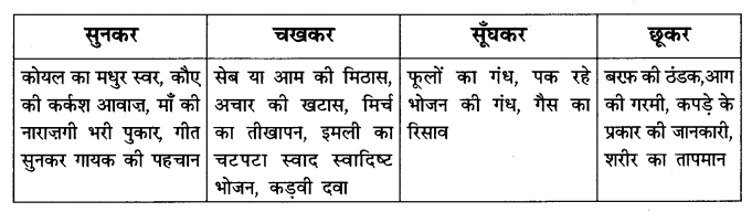 NCERT Solutions for Class 6 Hindi Chapter 11 जो देखकर भी नहीं देखते Q4