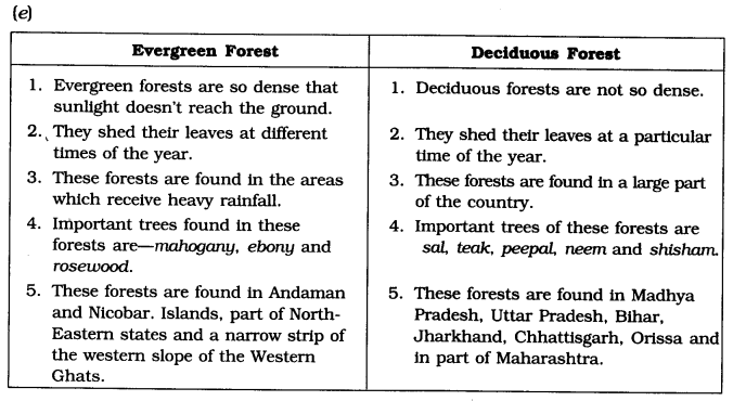 NCERT Solutions for Class 6 Social Science Geography Chapter 8 India Climate Vegetation and Wildlife Q1