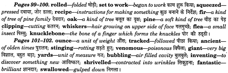 NCERT Solutions for Class 7 English Honeycomb Chapter 7 The Invention of Vita Wonk 2