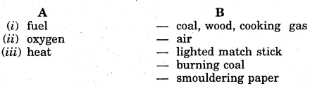 NCERT Solutions for Class 7 English Honeycomb Chapter 8 Fire - Friend and Foe 2