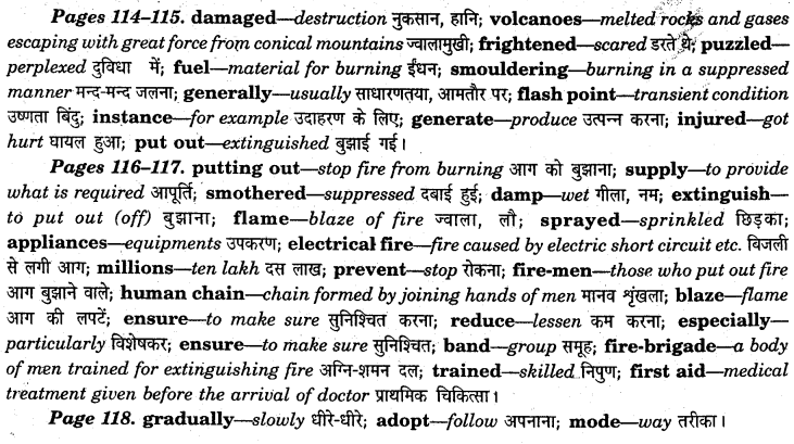 NCERT Solutions for Class 7 English Honeycomb Chapter 8 Fire - Friend and Foe