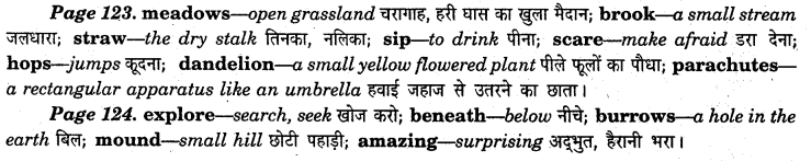 NCERT Solutions for Class 7 English Honeycomb Poem 8 Meadow Surprises