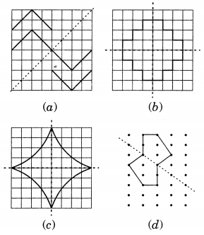 NCERT Solutions for Class 7 Maths Chapter 14 Symmetry 13