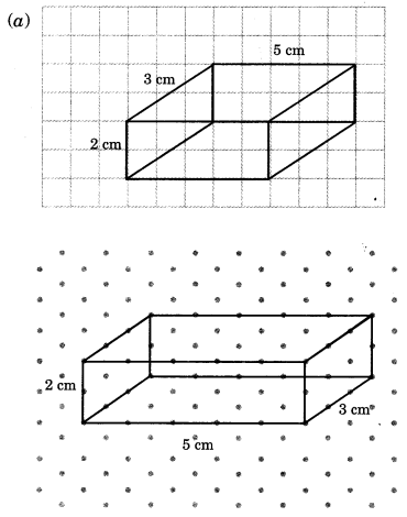 NCERT Solutions for Class 7 Maths Chapter 15 Visualising Solid Shapes Ex 15.2 13