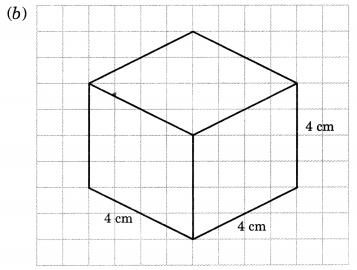 NCERT Solutions for Class 7 Maths Chapter 15 Visualising Solid Shapes Ex 15.2 14