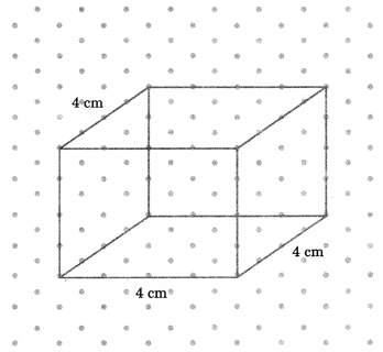 NCERT Solutions for Class 7 Maths Chapter 15 Visualising Solid Shapes Ex 15.2 15