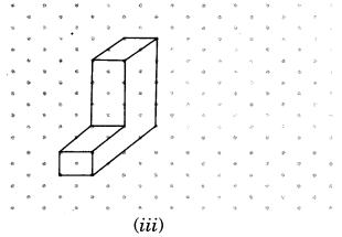 NCERT Solutions for Class 7 Maths Chapter 15 Visualising Solid Shapes Ex 15.2 5