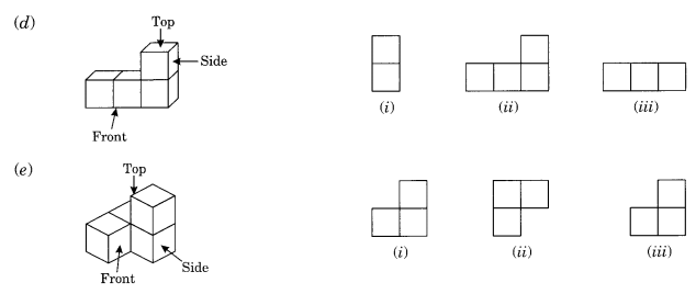 NCERT Solutions for Class 8 Maths Chapter 10 Visualising Solid Shapes Ex 10.1 Q3.1