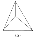 NCERT Solutions for Class 8 Maths Chapter 10 Visualising Solid Shapes Ex 10.3 Q1