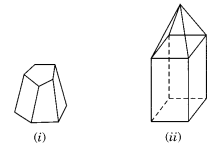 NCERT Solutions for Class 8 Maths Chapter 10 Visualising Solid Shapes Ex 10.3 Q6