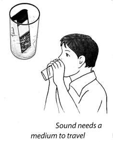 NCERT Solutions for Class 8 Science Chapter 13 Sound Activity 7