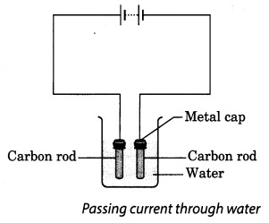 NCERT Solutions for Class 8 Science Chapter 14 Chemical Effects of Electric Current Activity 6
