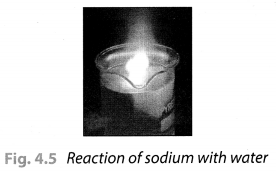 NCERT Solutions for Class 8 Science Chapter 4 Materials Metals and Non Metals Activity 5