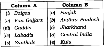 NCERT Solutions for Class 8 Social Science History Chapter 4 Tribals, Dikus and the Vision of a Golden Age Exercise Questions Q4