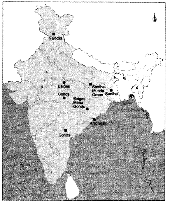 NCERT Solutions for Class 8 Social Science History Chapter 4 Tribals, Dikus and the Vision of a Golden Age Map Skills Q1