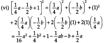 NCERT Solutions for Class 9 Maths Chapter 2 Polynomials Ex 2.5 Q4