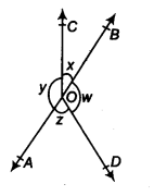 NCERT Solutions for Class 9 Maths Chapter 6 Lines and Angles Ex 6.1 Q4