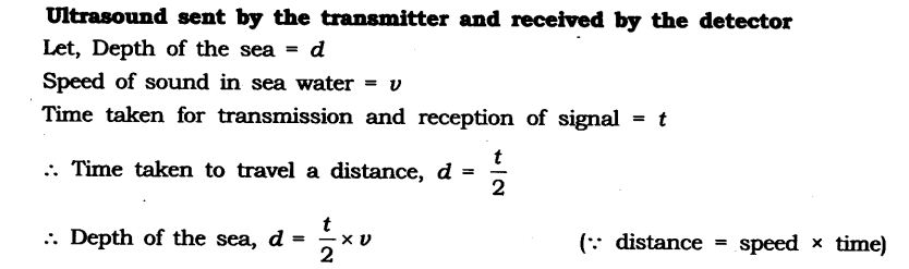 NCERT Solutions for Class 9 Science Chapter 12 Sound Extra Questions Q19.1
