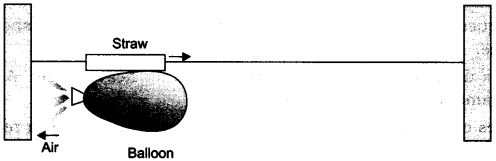 NCERT Solutions for Class 9 Science Chapter 9 Force and Laws of Motion Activity Based Q5