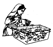 NCERT Solutions For Class 10 Maths Chapter 15 Probability Ex 15.1 Q11