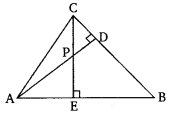 NCERT Solutions For Class 10 Maths Chapter 6 Triangles Ex 6.1 Q12