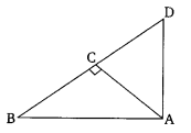 NCERT Solutions For Class 10 Maths Chapter 6 Triangles Ex 6.1 Q18
